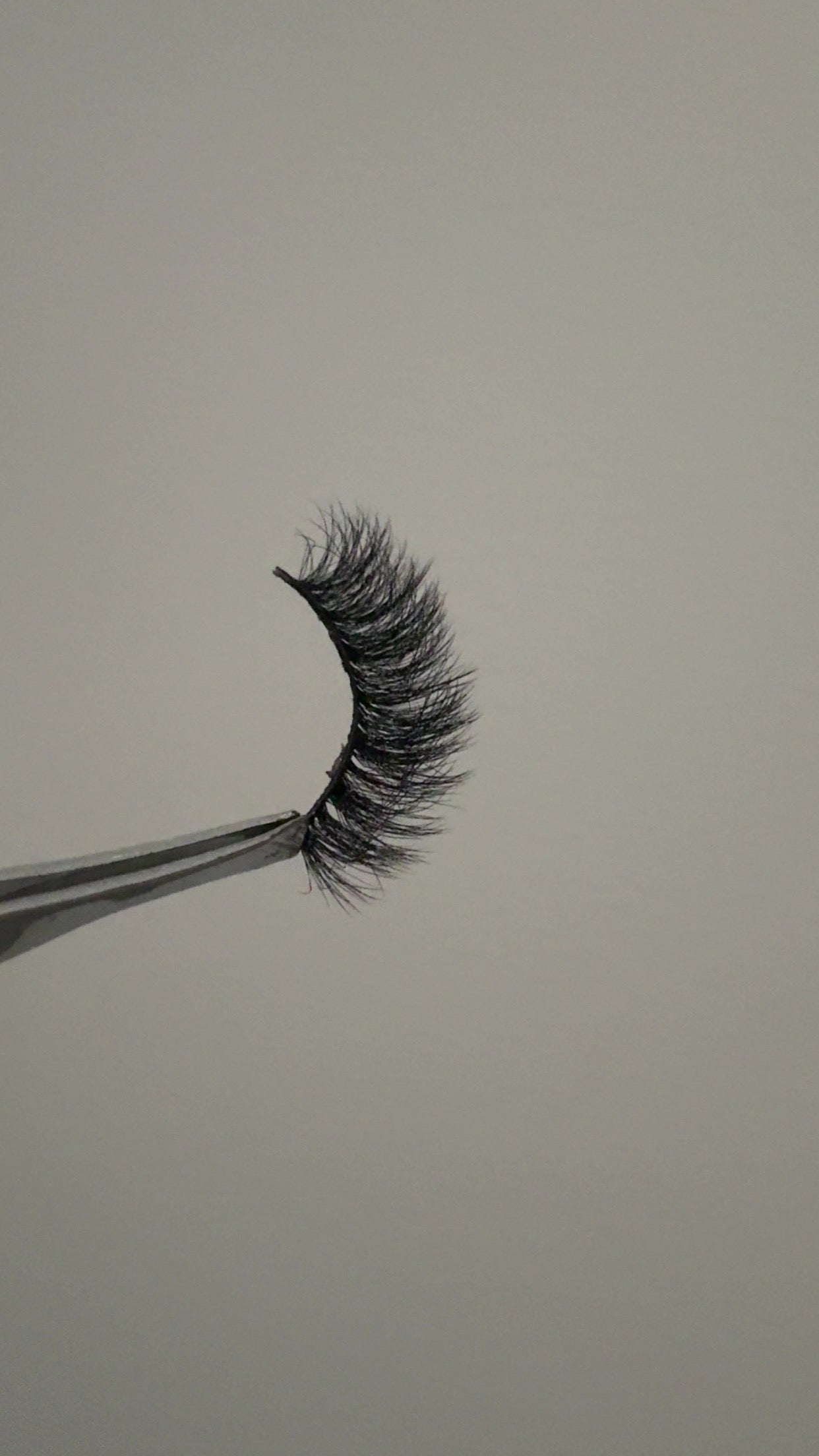 BBH Date Night Strip Lash